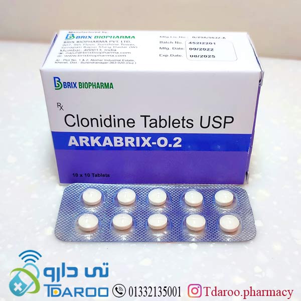 آركابریكس 0.2